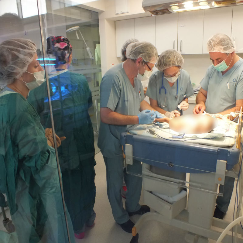 הניתוח בפגה בחדר הניתוח החדש